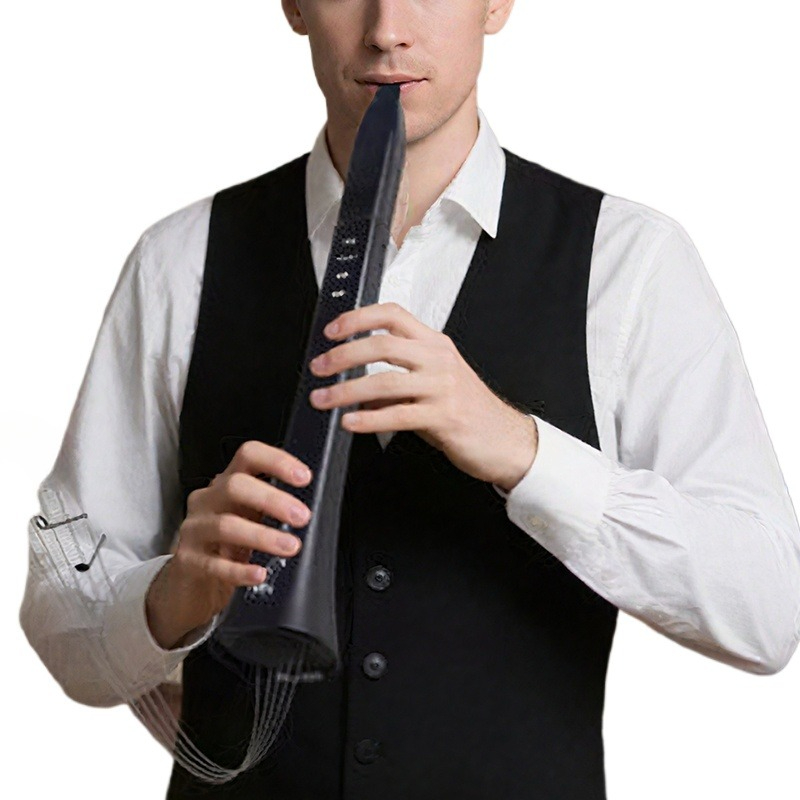 Portable Electronic Wind Instr - đánh giá và giá Musical Instrument With A