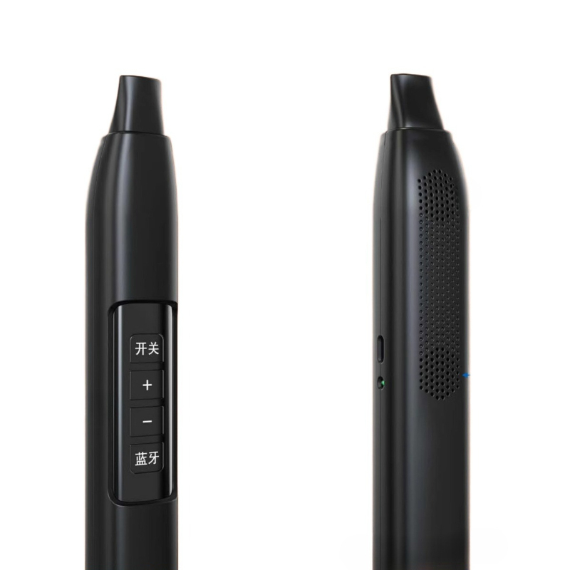 Portable Electronic Wind Instr - đánh giá và giá Musical Instrument With A