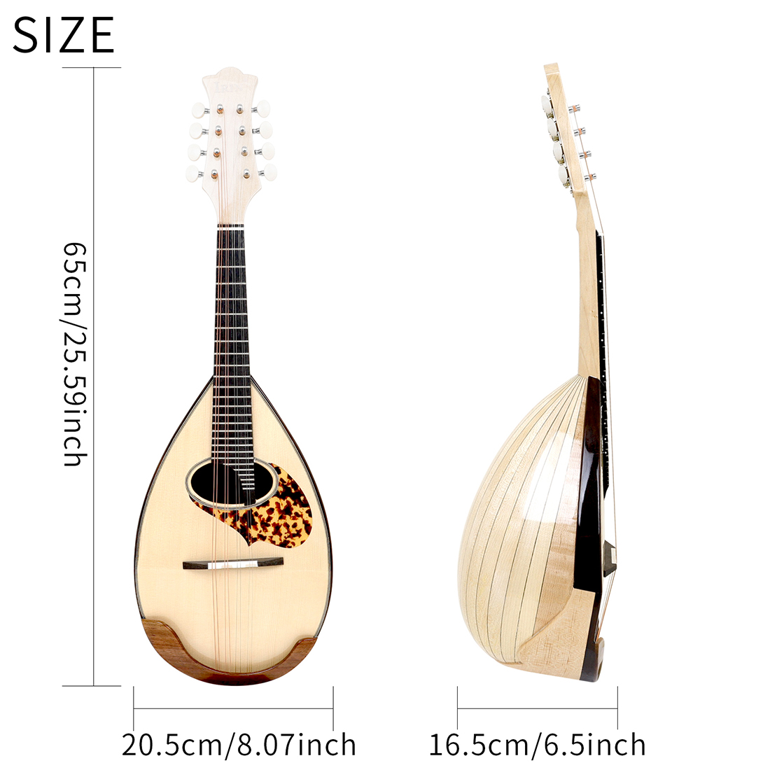 IRIN MD-60 Mandolin Japanese M - đánh giá và giá Musical Instrument In Japanese